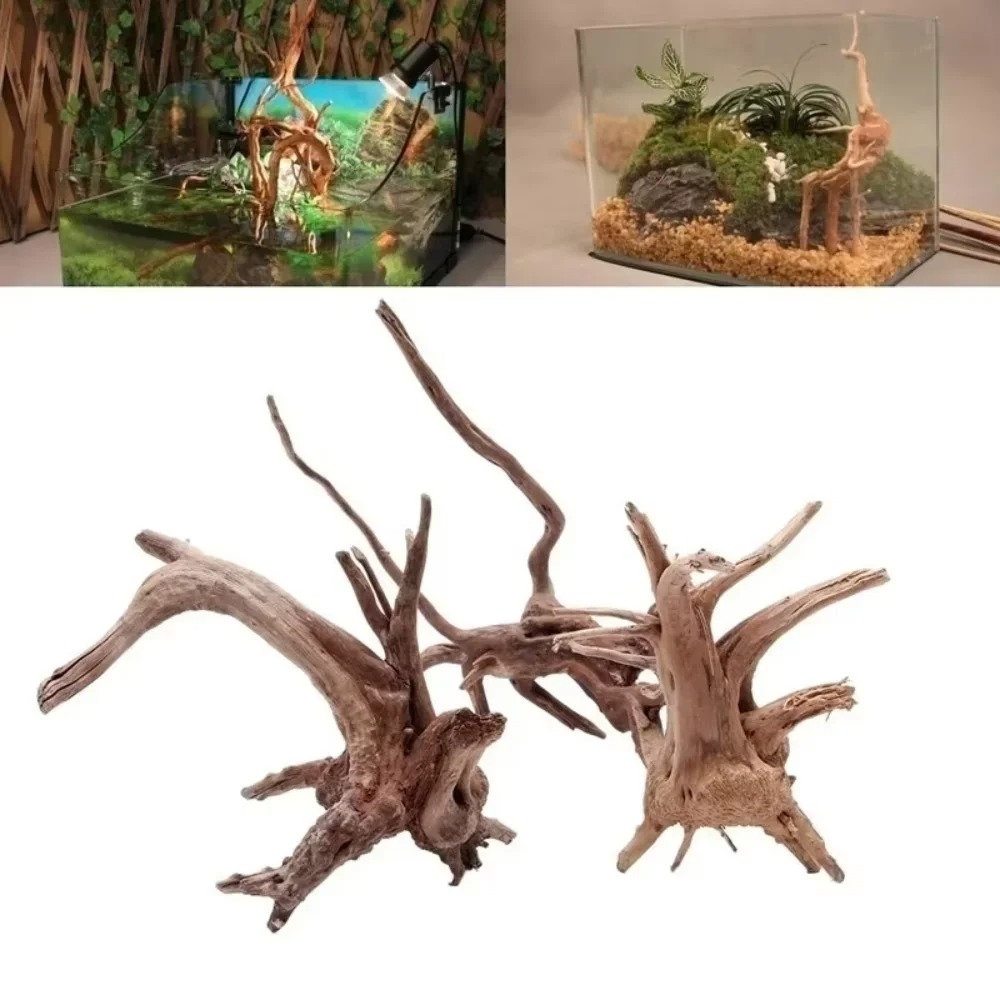 Aquarium Marine Tank - 15-20CM Natürliches Treibholz Aquarium-Dekoration - Premium