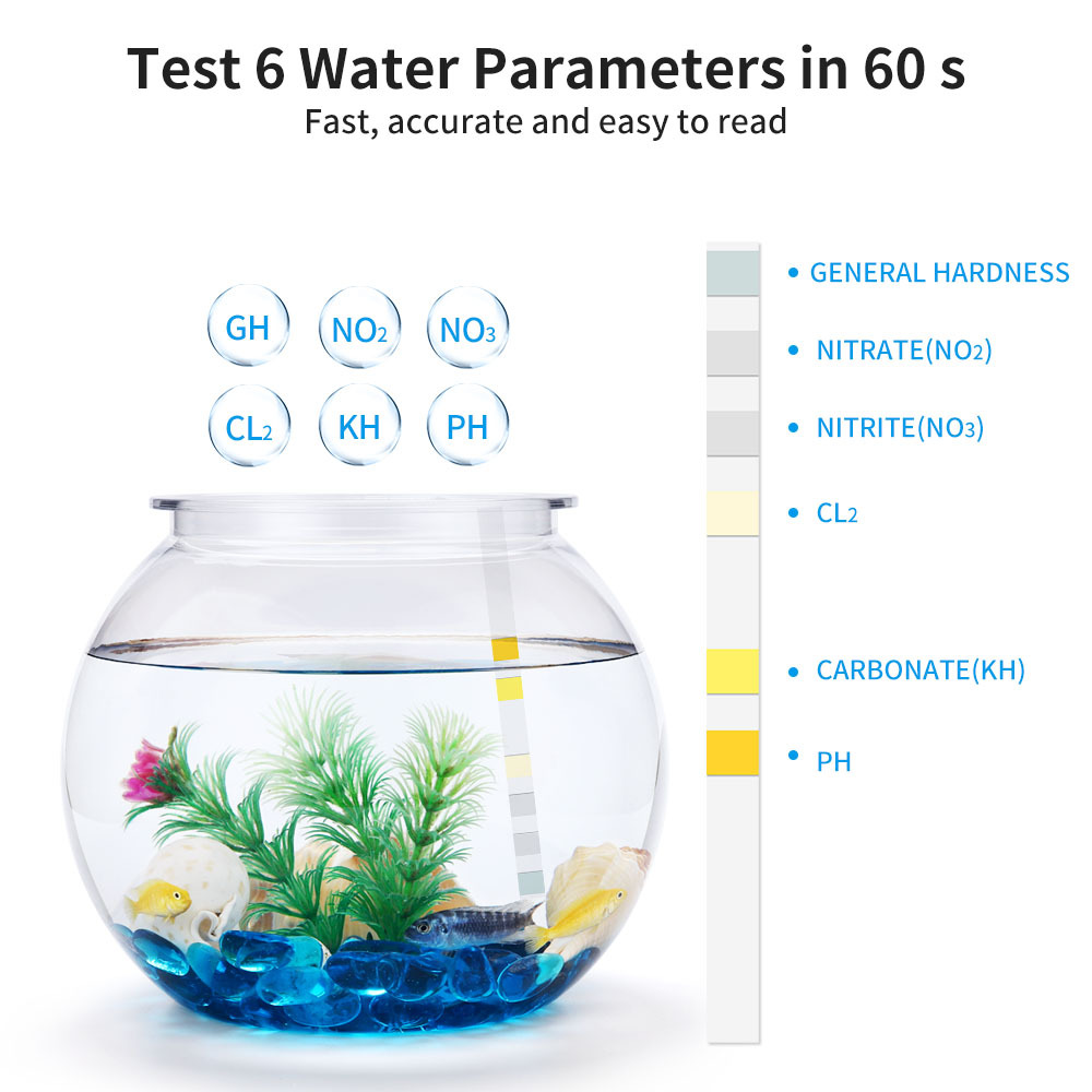 6-in-1-Wasserqualitätsteststre – Marine Test Kit Bewertung und Preis