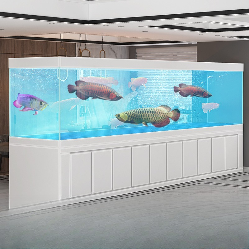 Großes Jinlong-Aquarium für Wo – Marine Aquarium With Sump Bewertung und Preis