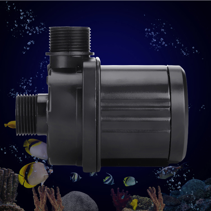 110–240 V roter Seestern-Aquar – Marine Aquarium With Sump Bewertung und Preis