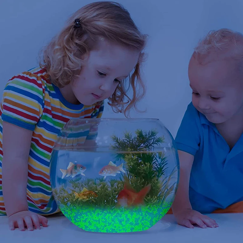 1000 Stück 3–5 mm leuchtender  – Aquarium Marine Tank Bewertung und Preis