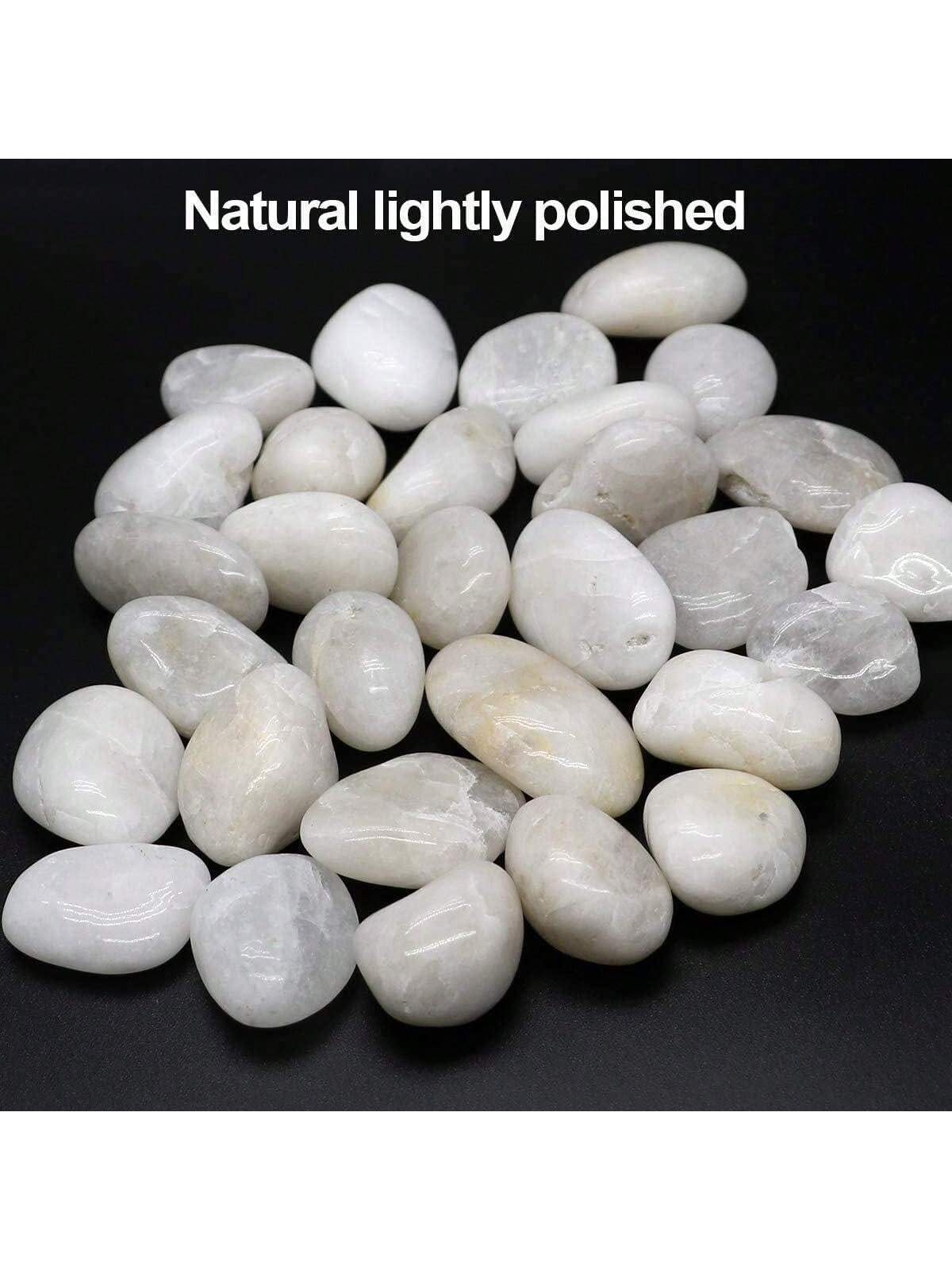 River Rocks Dekorative dekorat – Aquarium Marine Tank Bewertung und Preis