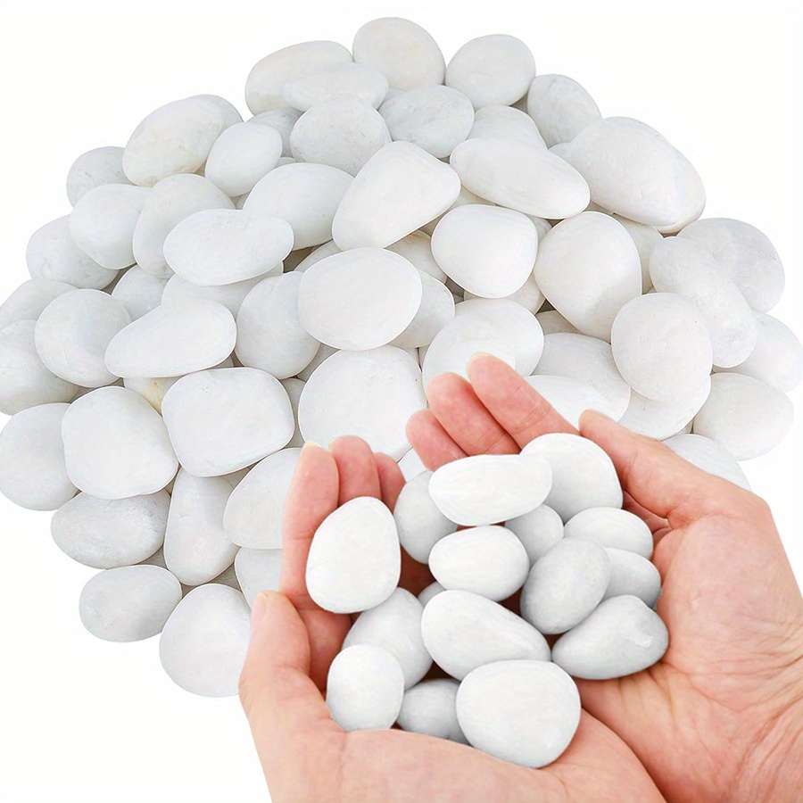 200/400g weiße hochglanzpolier – Aquarium Marine Tank Bewertung und Preis