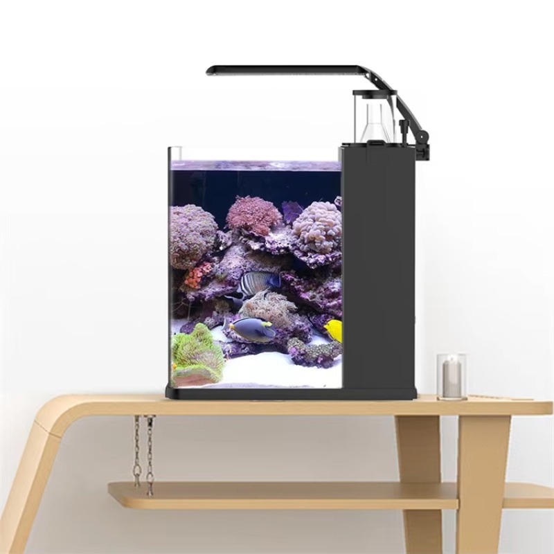 Gebogener Salzwasser-Meerwasse – Marine Aquarium With Sump Bewertung und Preis