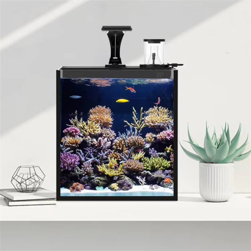 Gebogener Salzwasser-Meerwasse – Marine Aquarium With Sump Bewertung und Preis