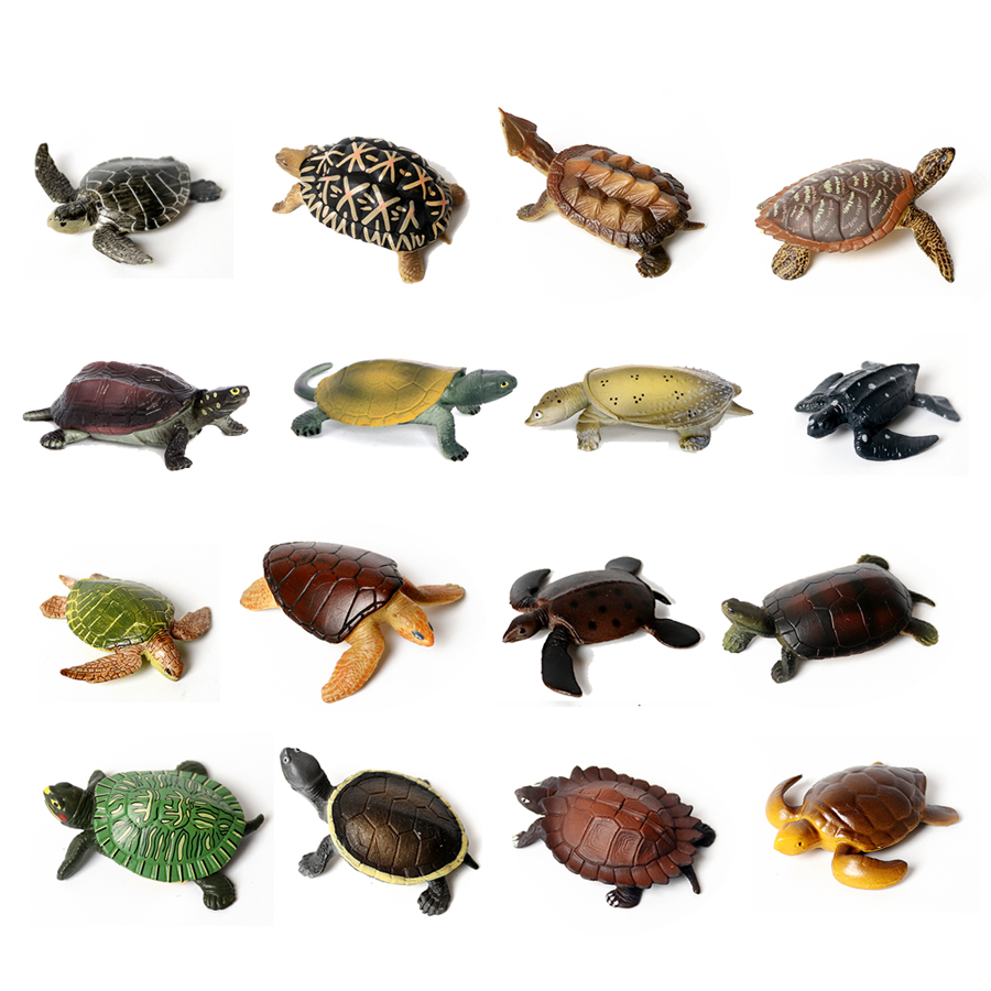 Realistische Miniaturen Meeres – Aquarium Marine Tank Bewertung und Preis
